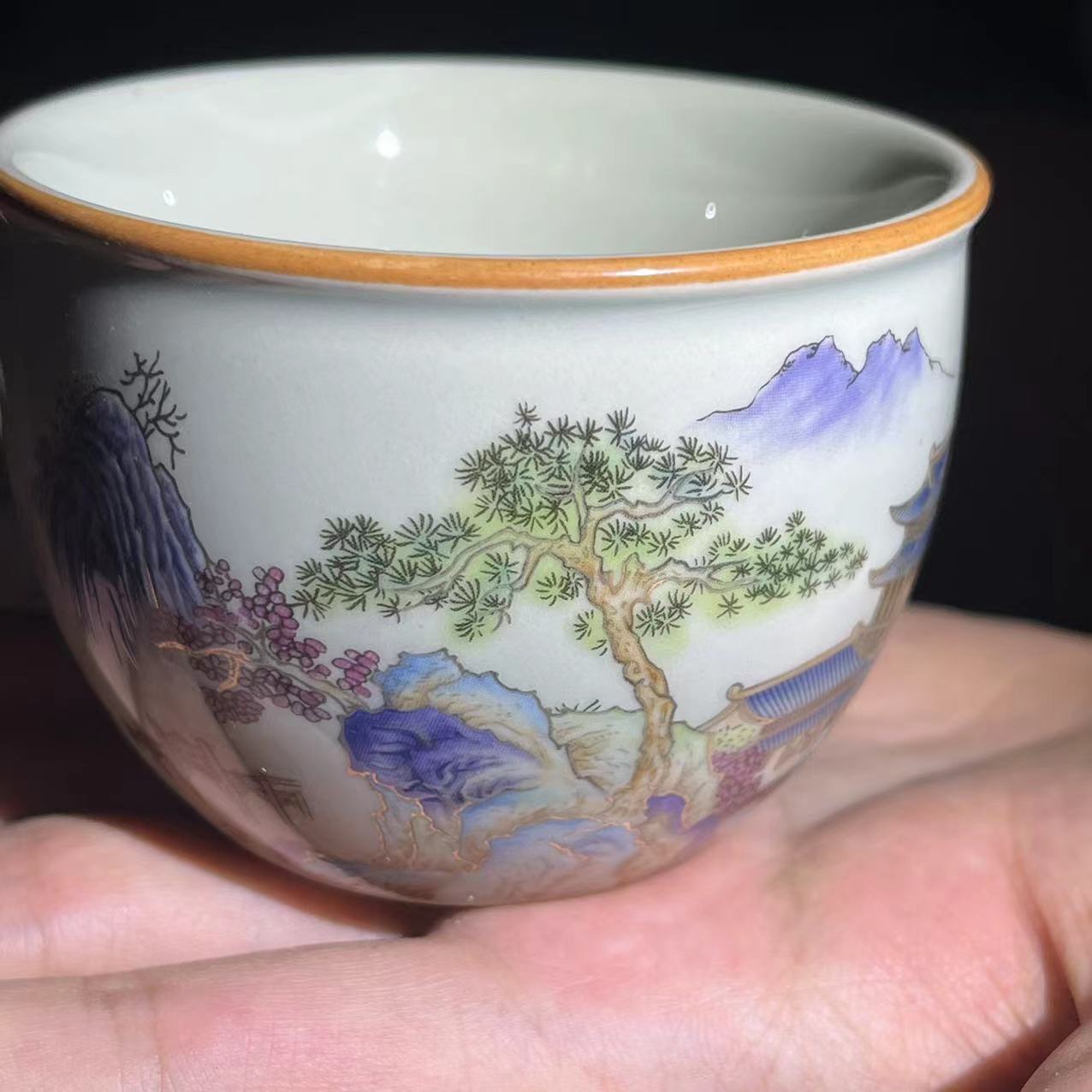 Jianzhan Tea cup collections