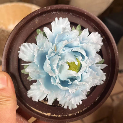 2025 Jianzhan Tea cup