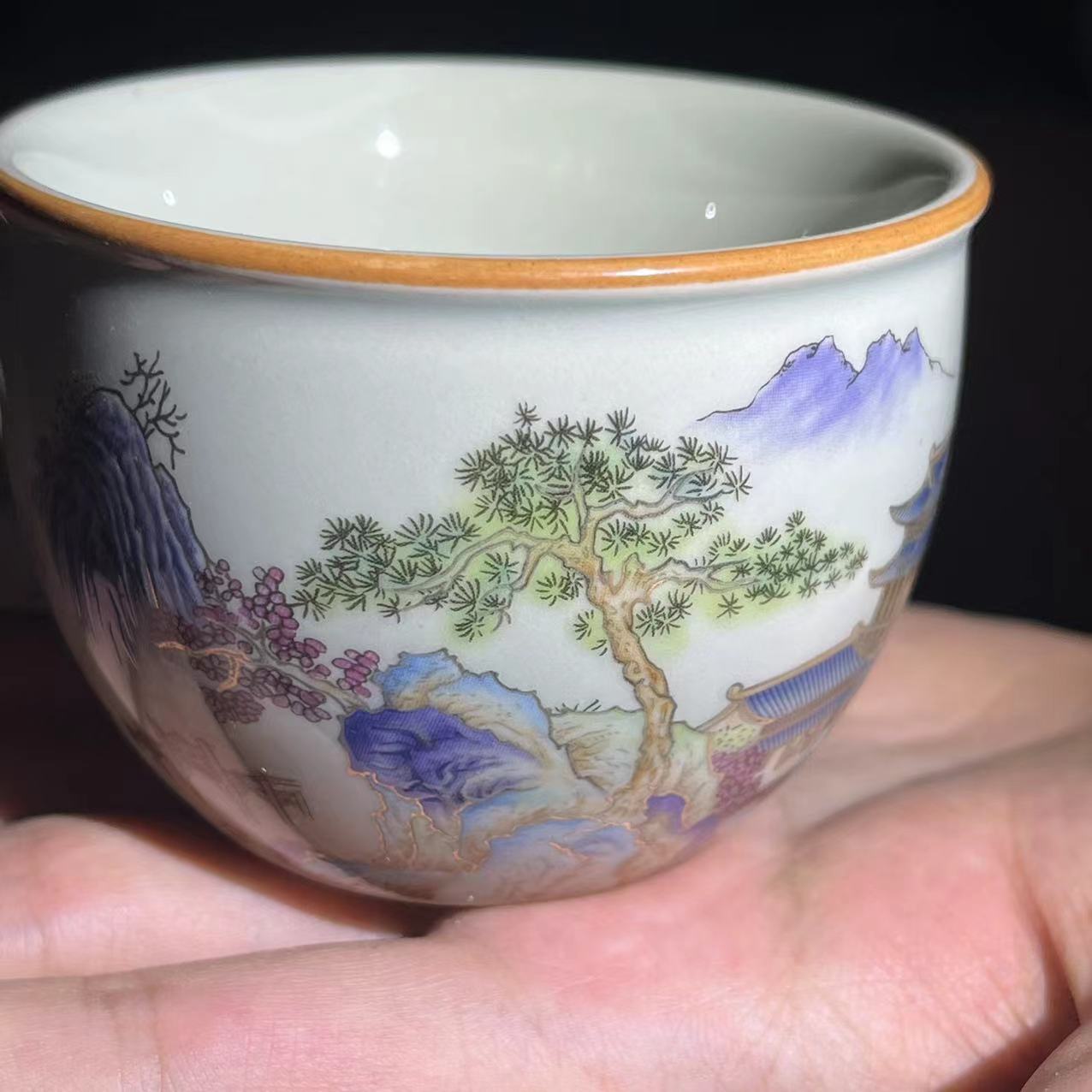 Jianzhan Tea cup collections