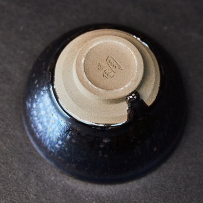 ZYL-3