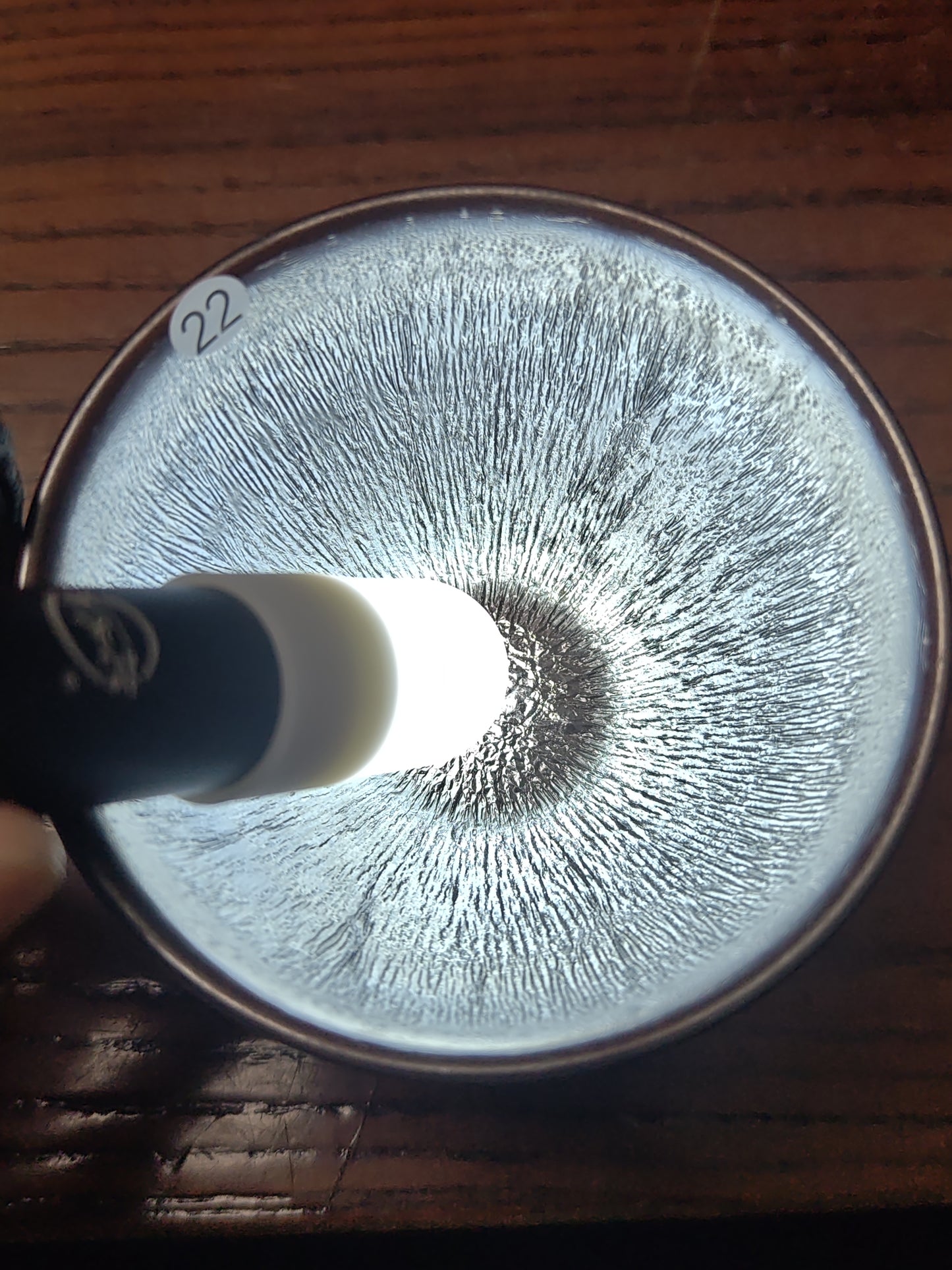 2026.6.3 cao
